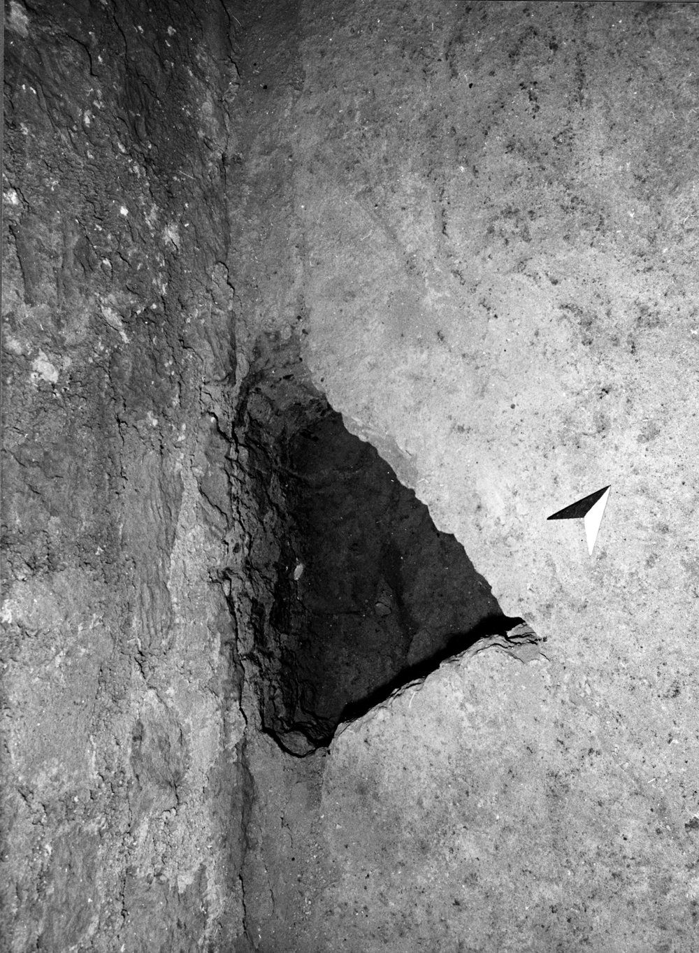APPS042-asf000952.jpg