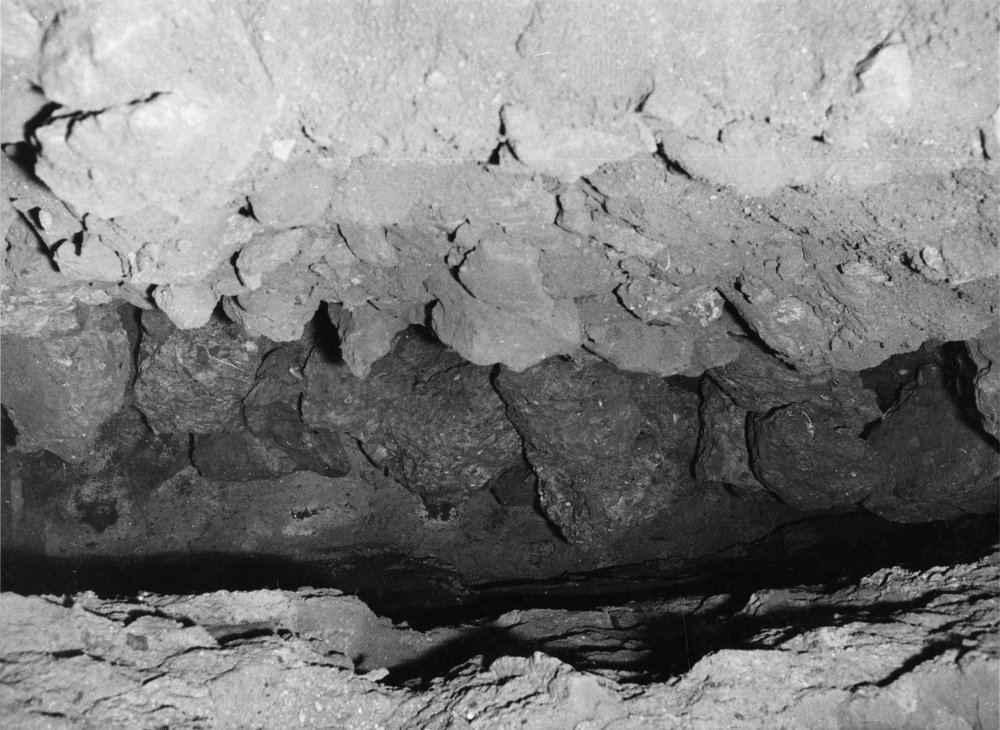 APPS046-asf000954.jpg