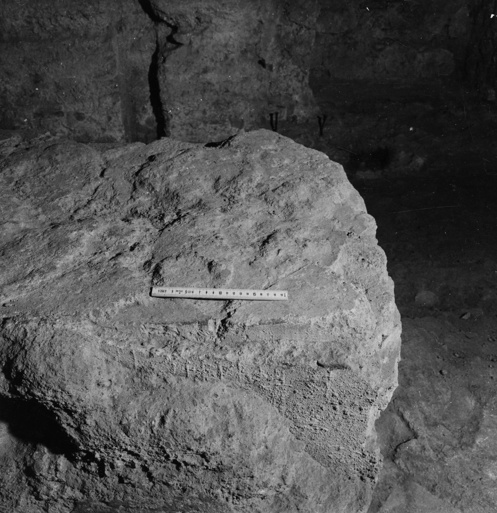 APPS051-asf000958.jpg