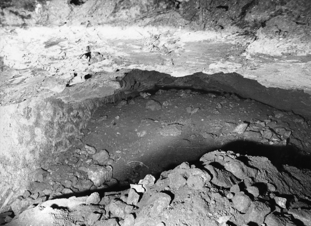 APPS045-asf000953.jpg