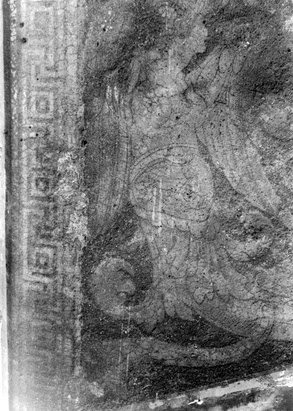 HF-UI020-asf006143.JPG