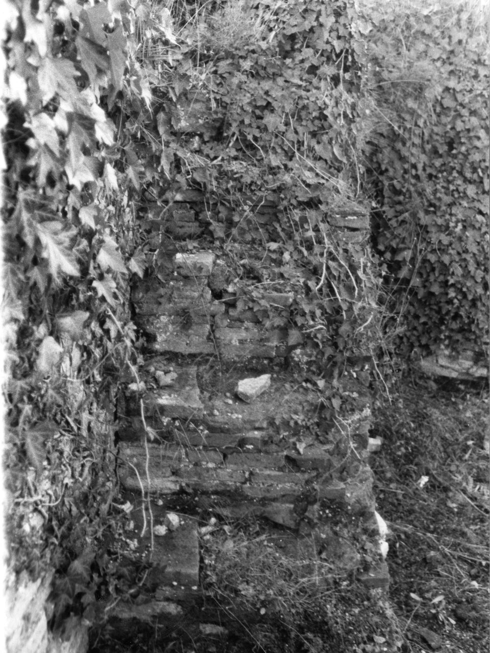 DF-B 039-asf003684.JPG
