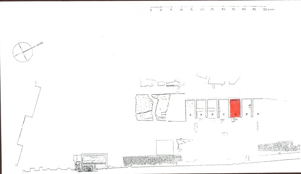 CP-D00-asf005555.jpg