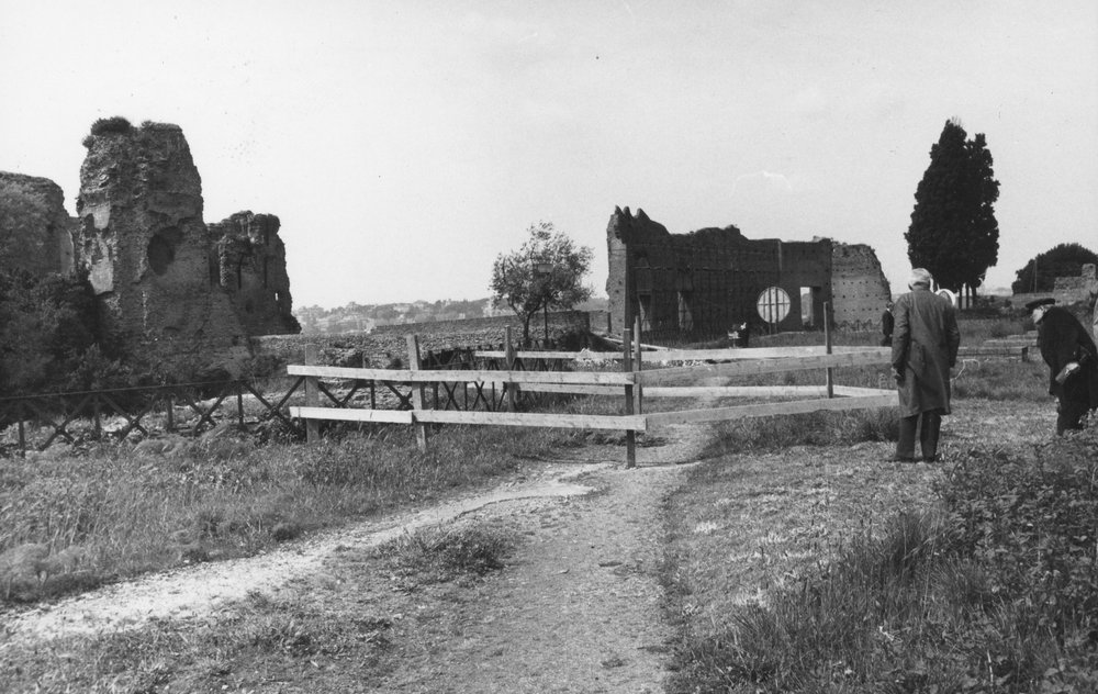 TS-TS 001-asf007854.JPG