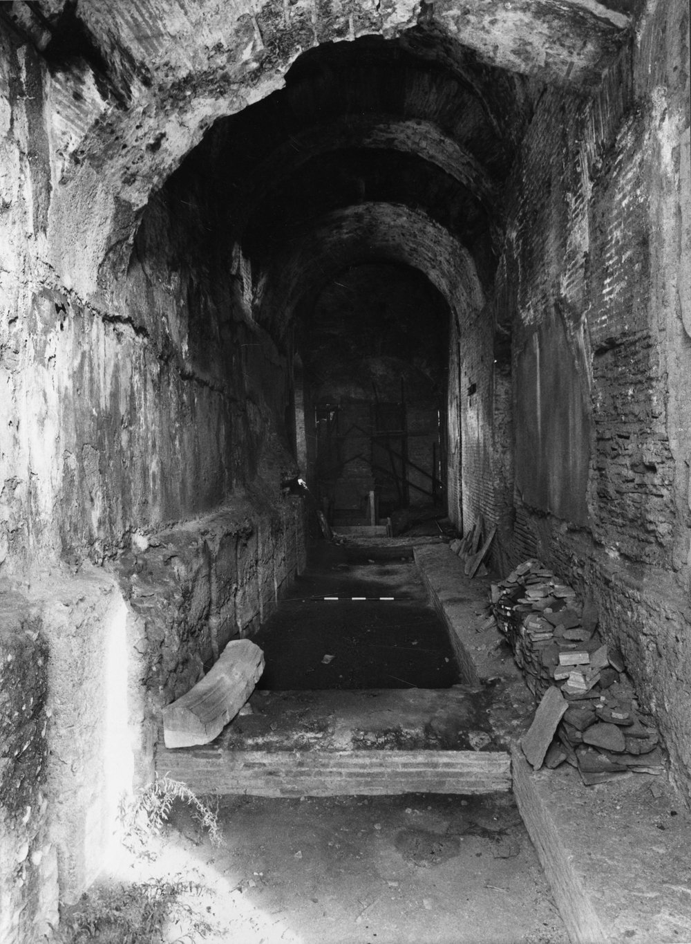 TS-A051-asf007729.jpg