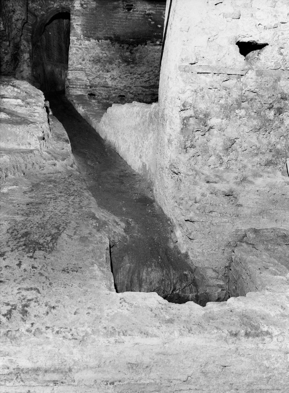 TS-A037-asf007715.jpg