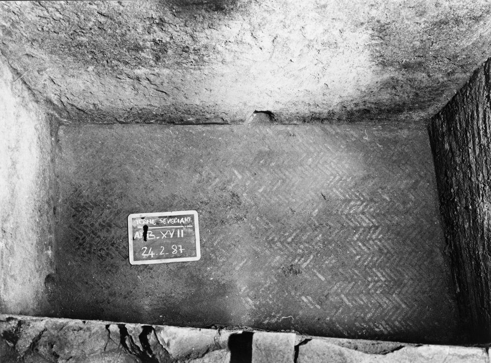 TS-A061-asf007739.jpg