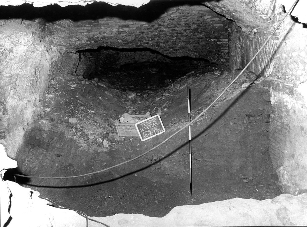 TS-A017-asf007695.jpg