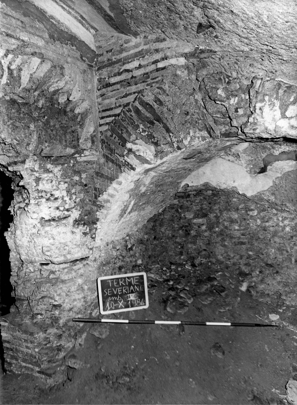 TS-A011-asf007689.jpg