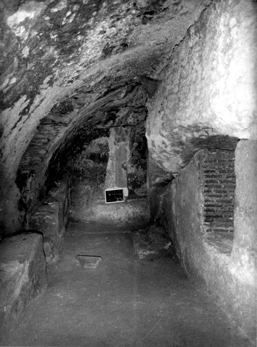 TS-A029-asf007707.jpg