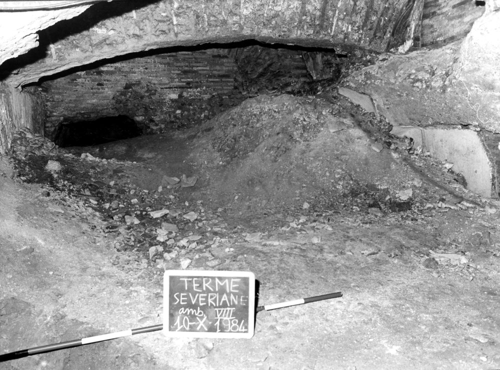 TS-A019-asf007697.jpg