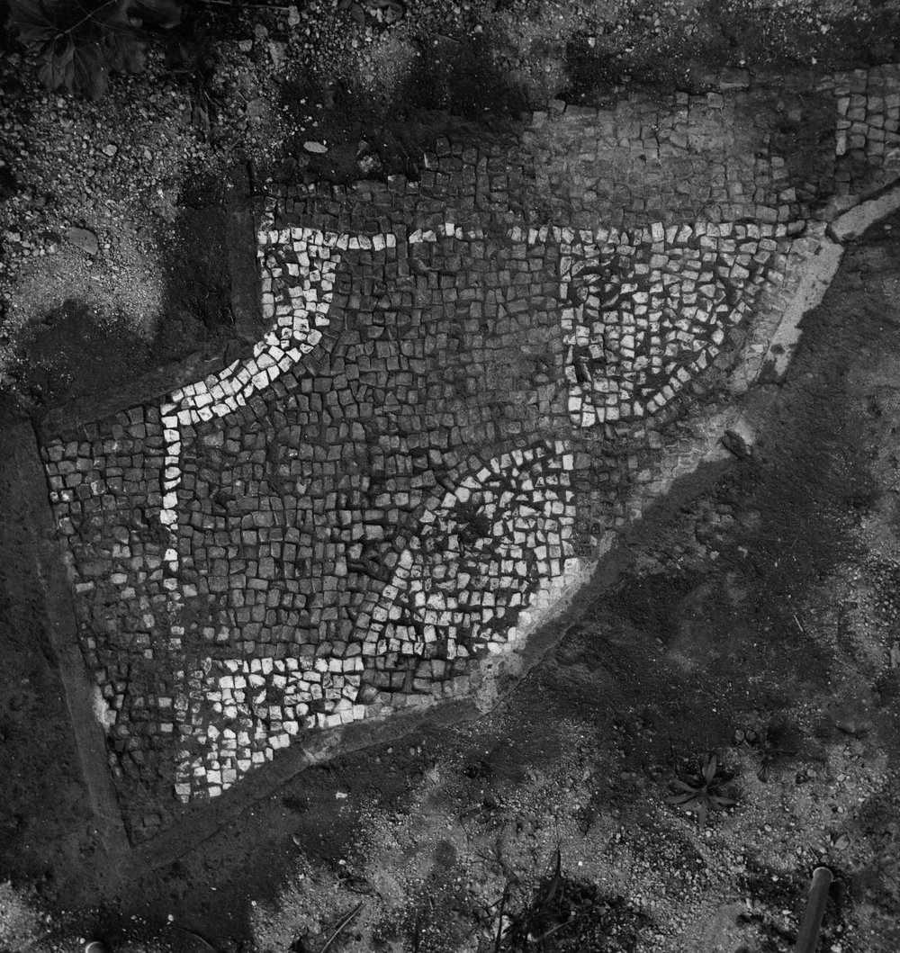 TS-P006-asf007892.jpg