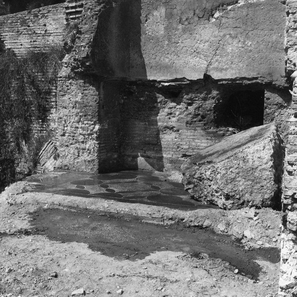 TS-P008-asf007894.jpg