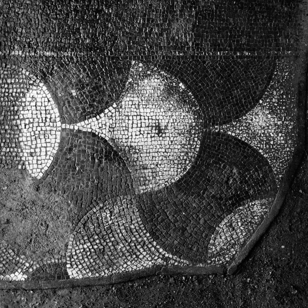 TS-P001-asf007887.jpg
