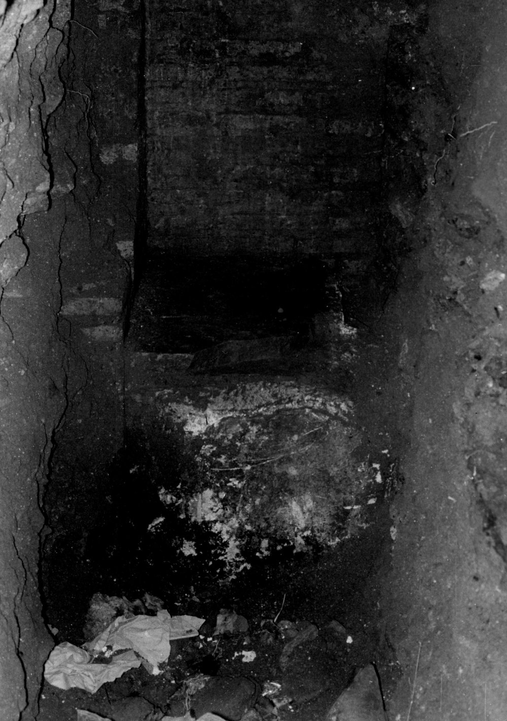 TS-R005-asf007905.jpg
