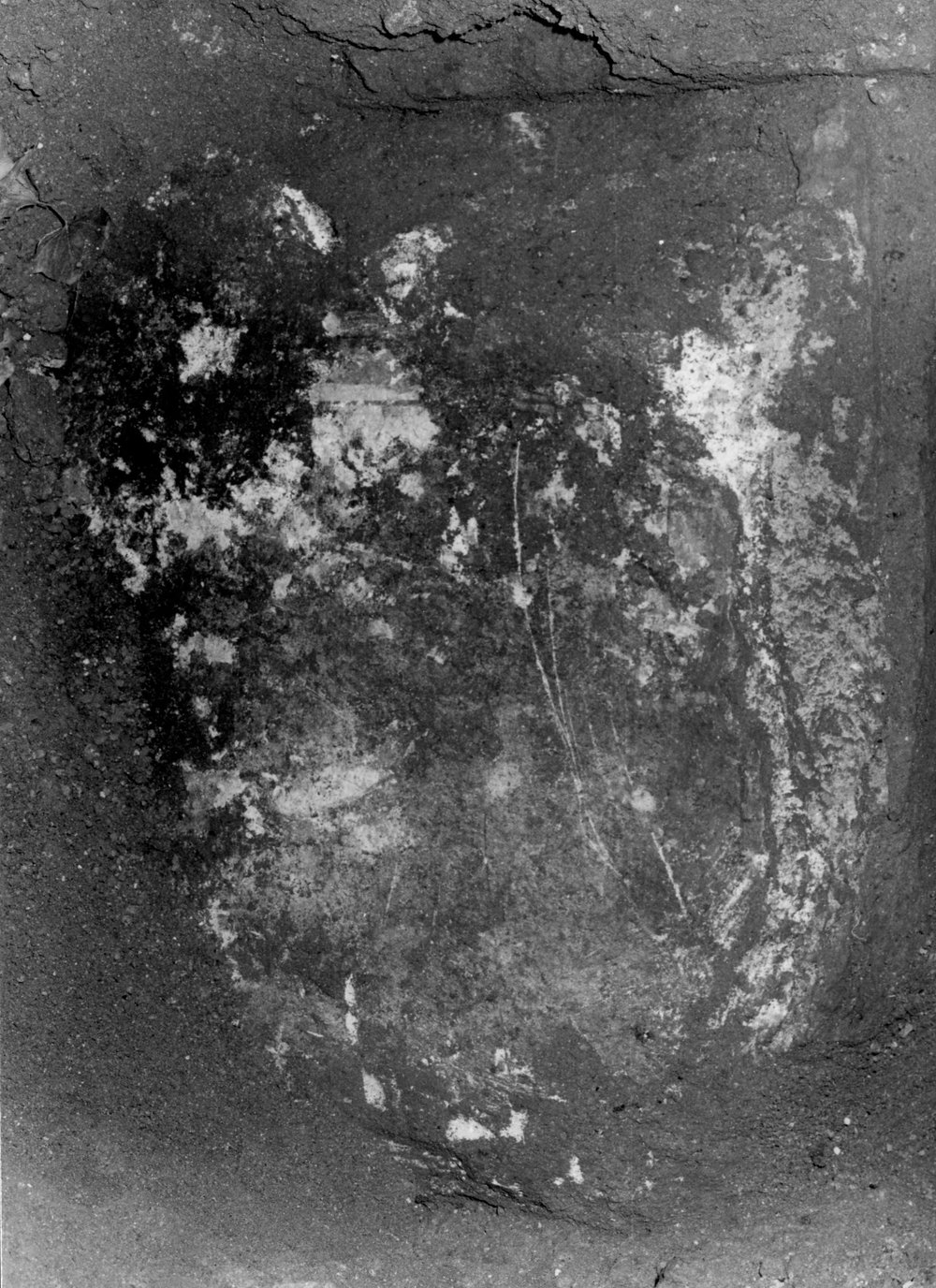 TS-R004-asf007903.JPG