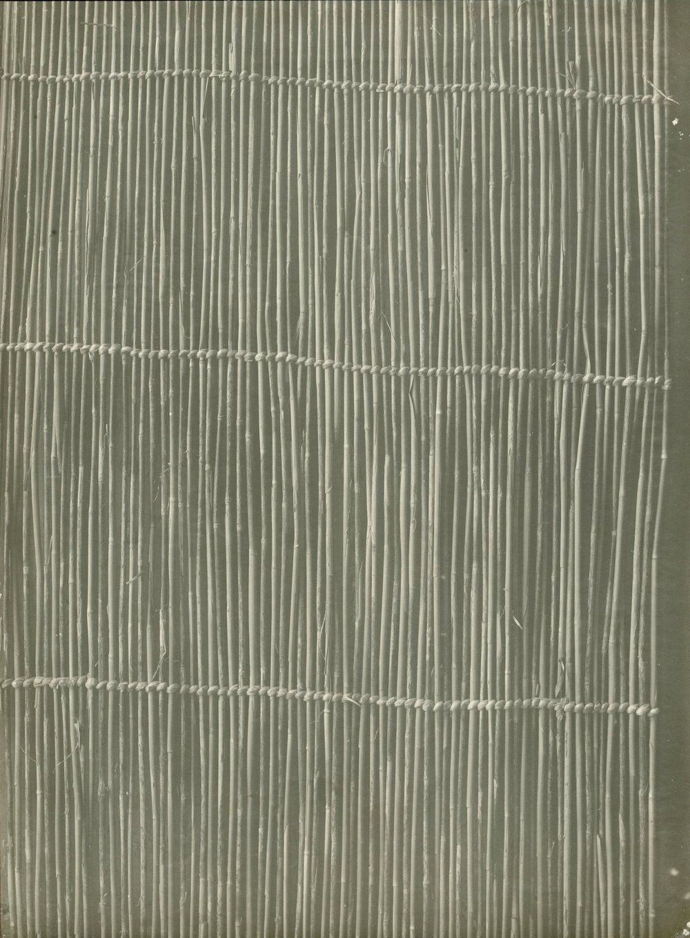 SC-PC-007-asf002911.jpg