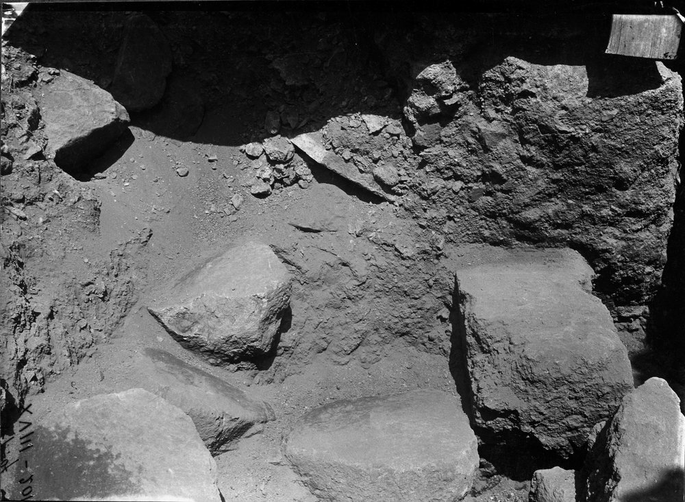 SC013-asf000014.jpg