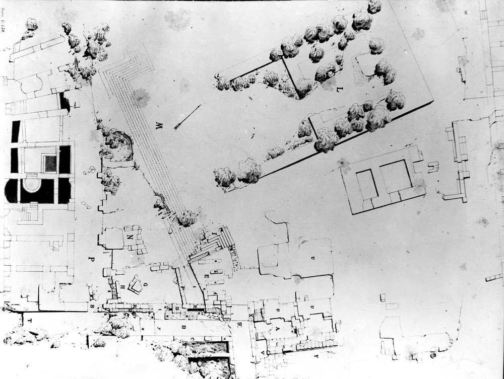 SC001-asf001678.jpg