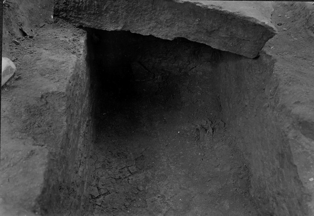 SC018-asf000026.jpg