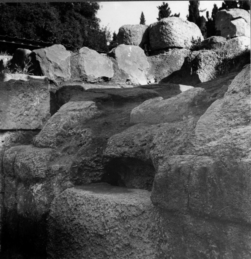 SC045-asf000058.jpg
