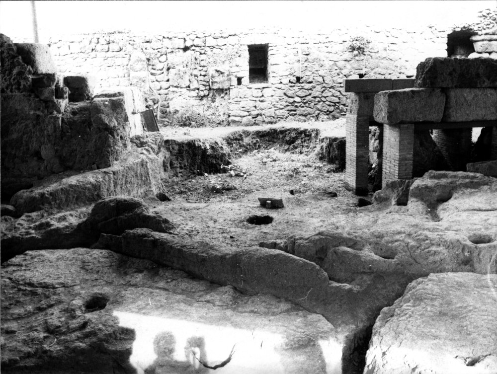 SC048-asf000064.jpg