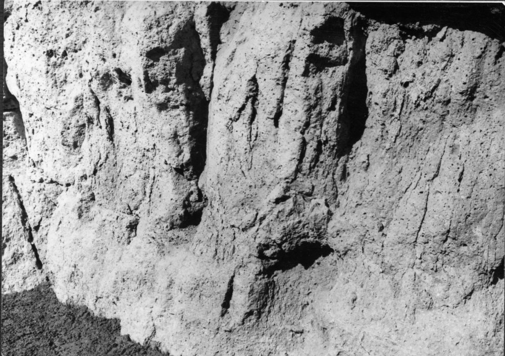 SC046-asf000062.jpg