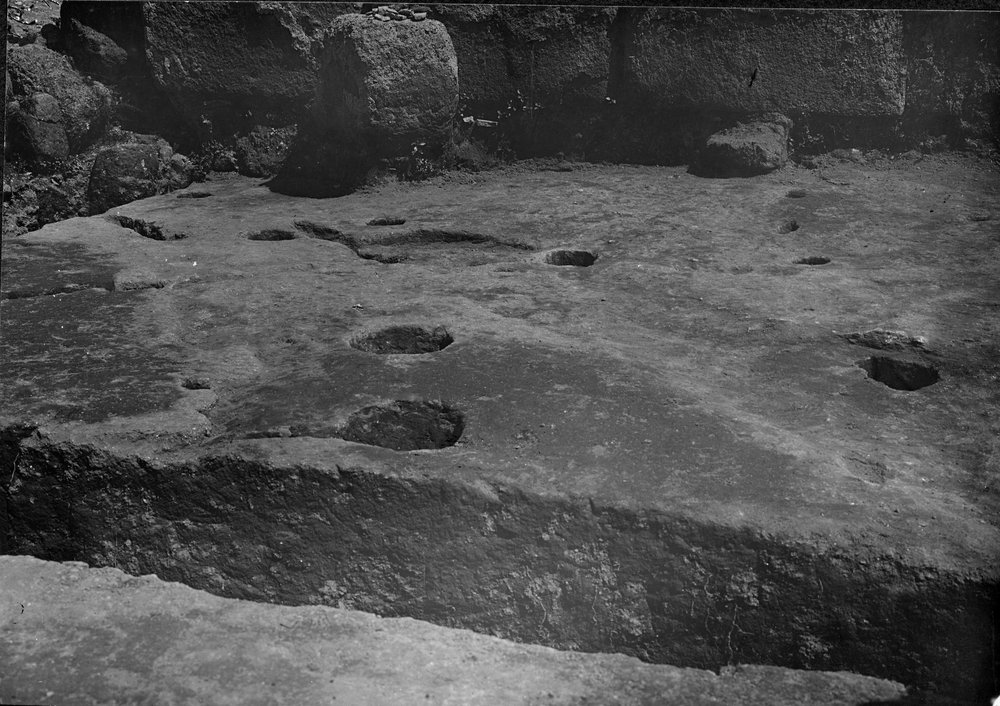SC011-asf000012.jpg