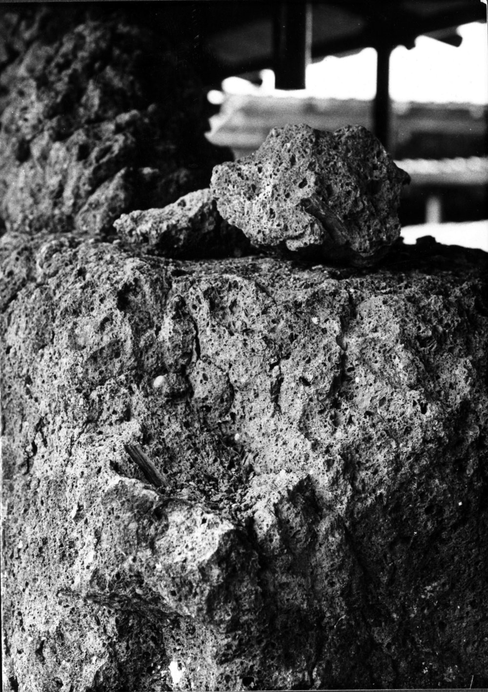 SC056-asf000069.jpg
