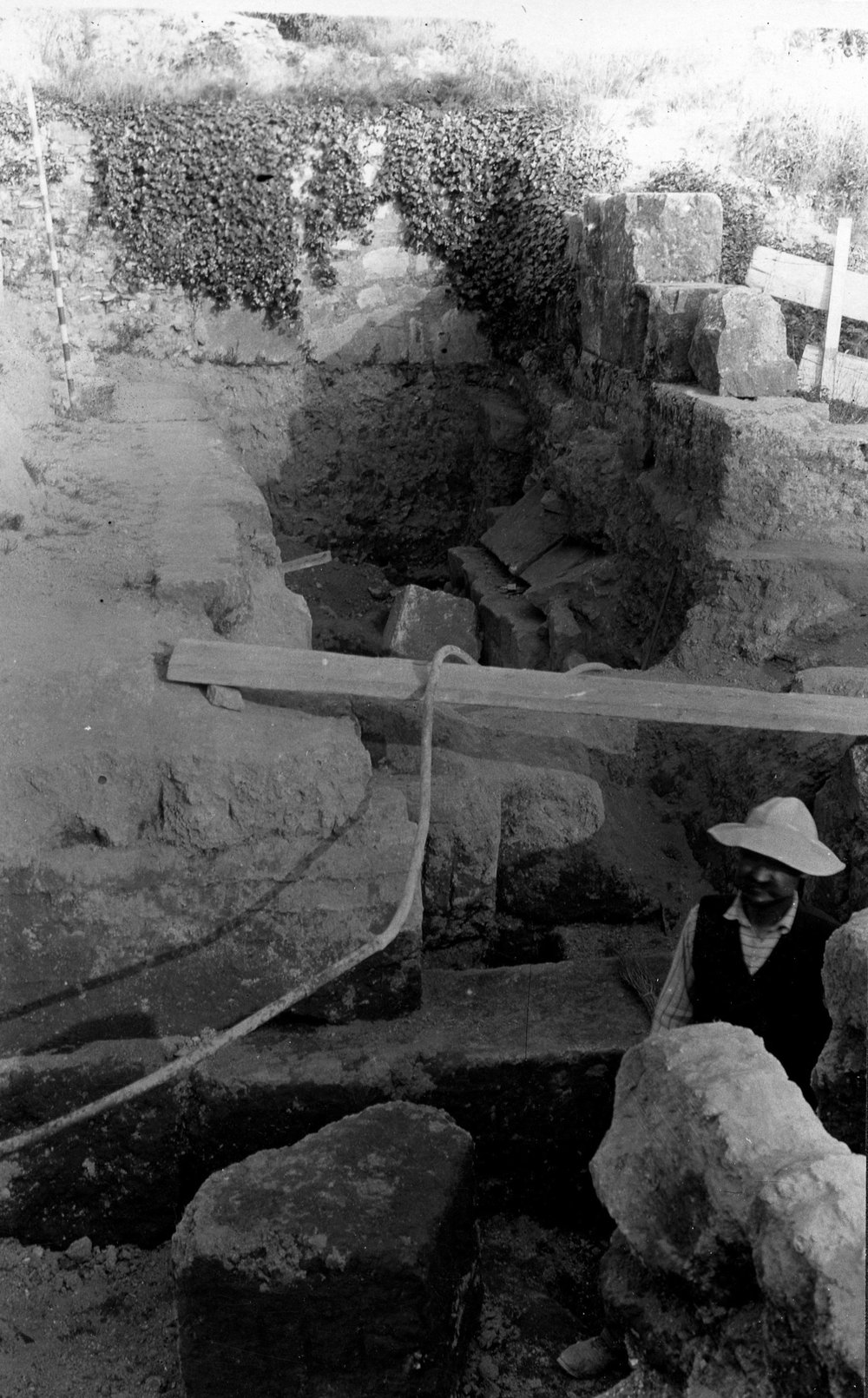 SC010-asf000010.jpg