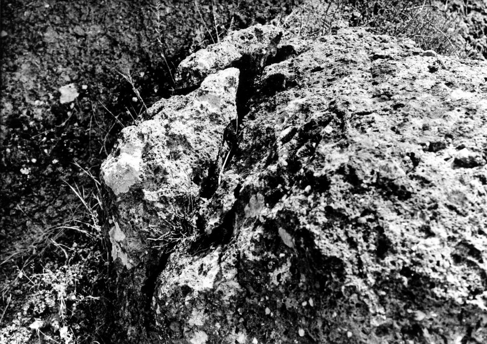 SC058-asf000073.jpg