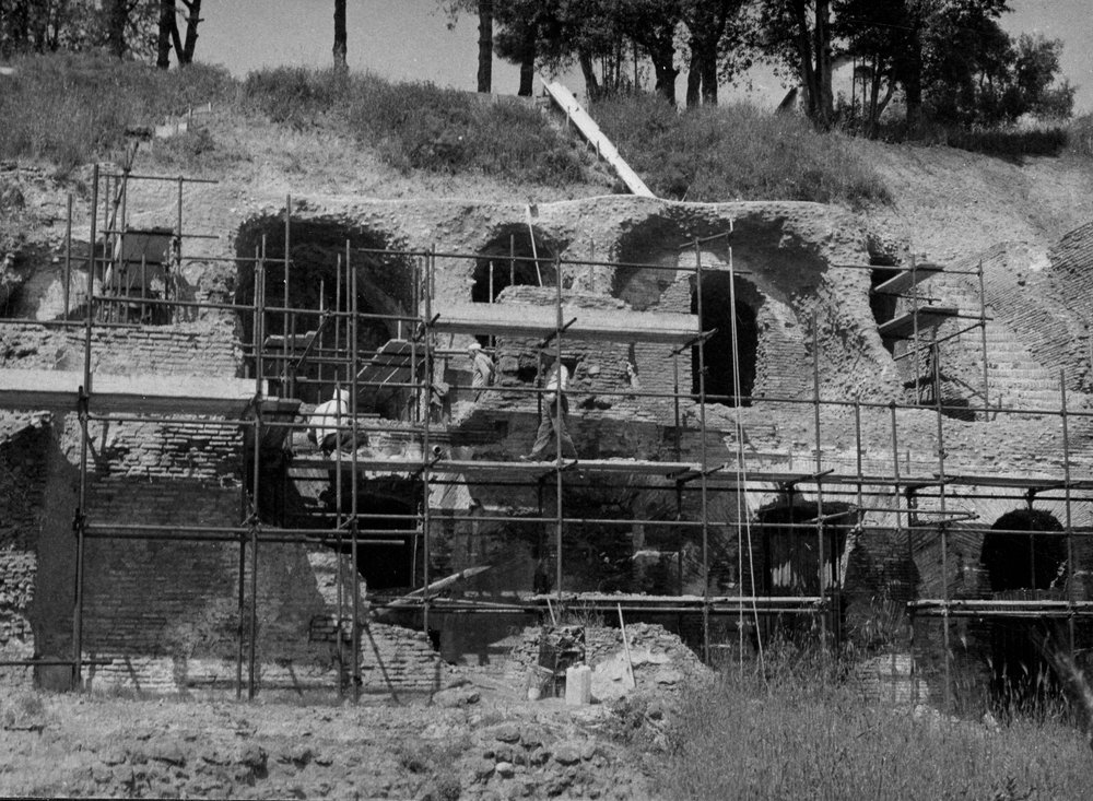 VSG-APV026-asf008873.JPG