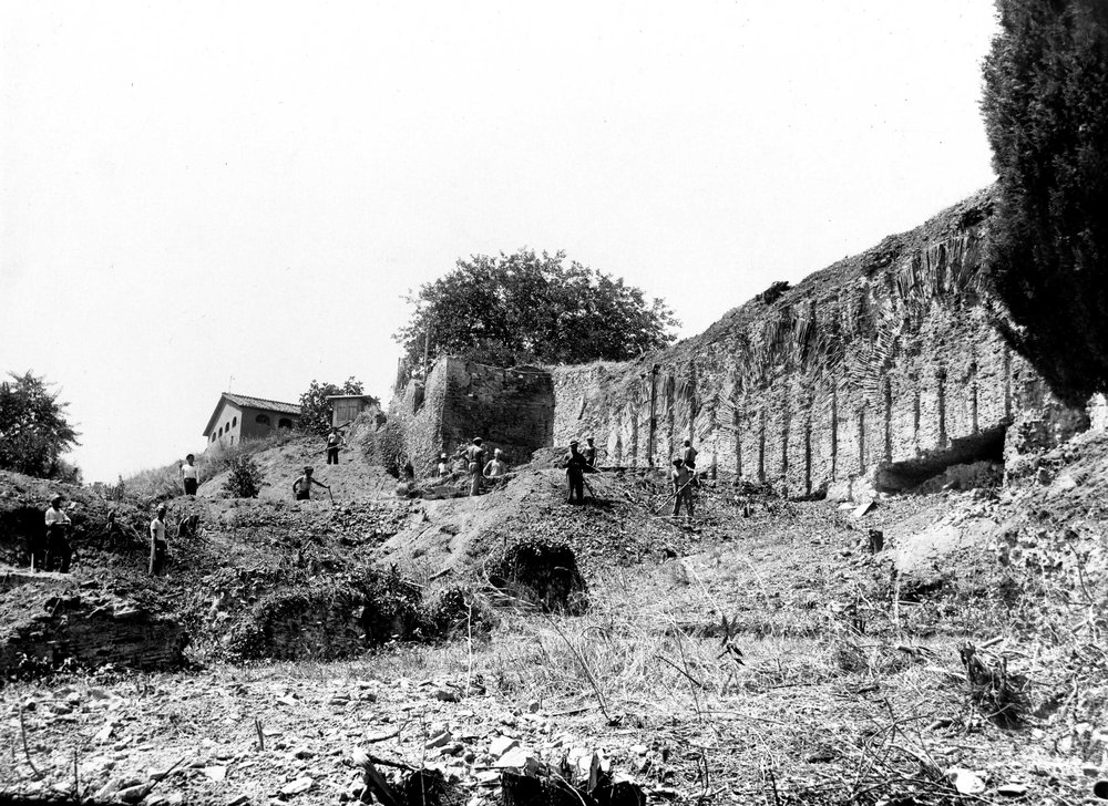 VSG-AS001-asf008960.jpg