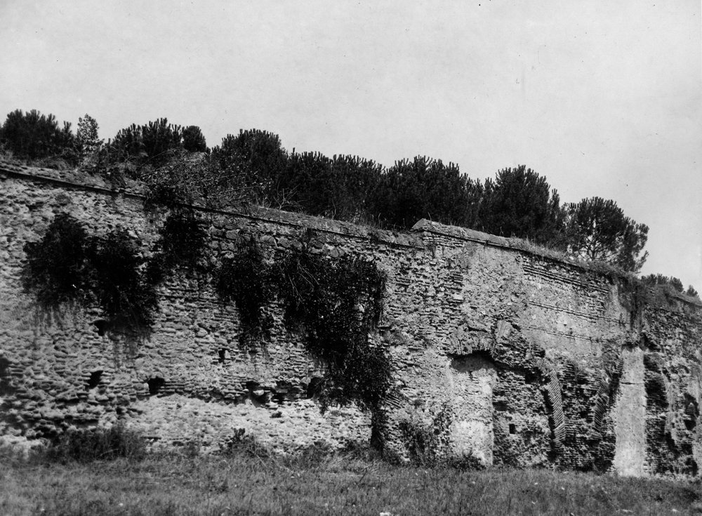 VSG-AS003-asf008962.jpg
