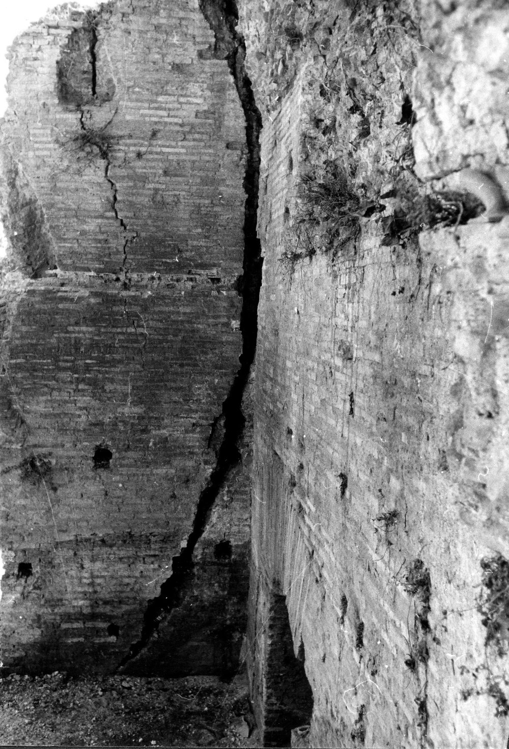 SAE017-asf009075.jpg