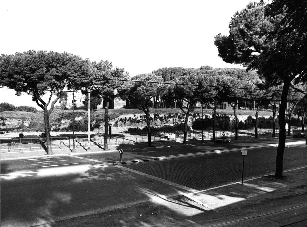 VSG-S008-asf009044.jpg