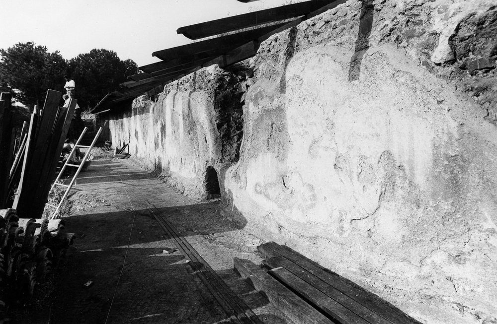 P005-asf008977.jpg