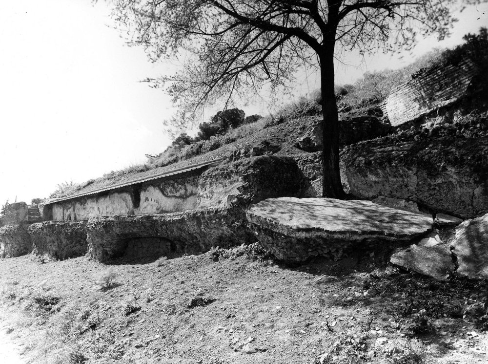 P003-asf008975.jpg