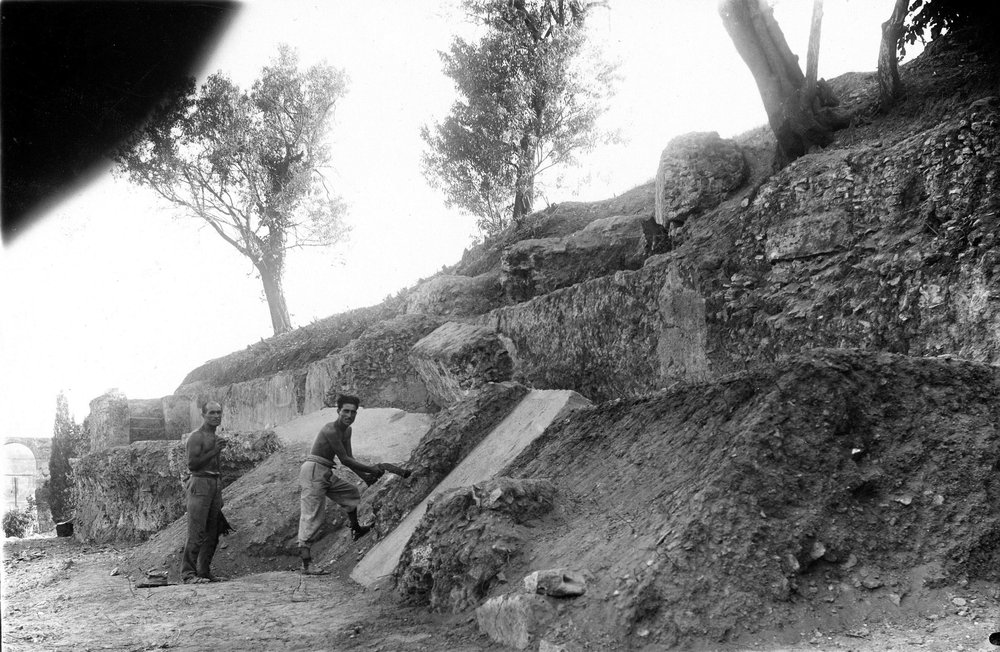 P001-asf008973.jpg