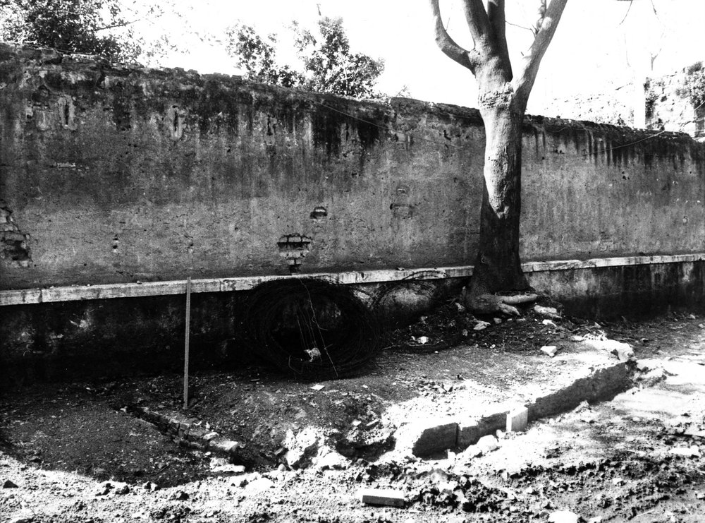 VC-SP017-asf009013.jpg
