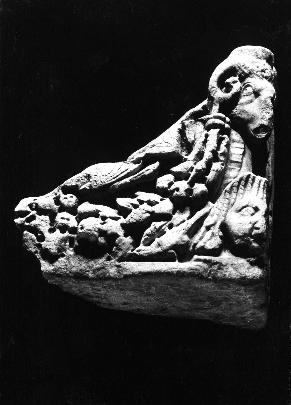 VC-SP025-asf009021.jpg