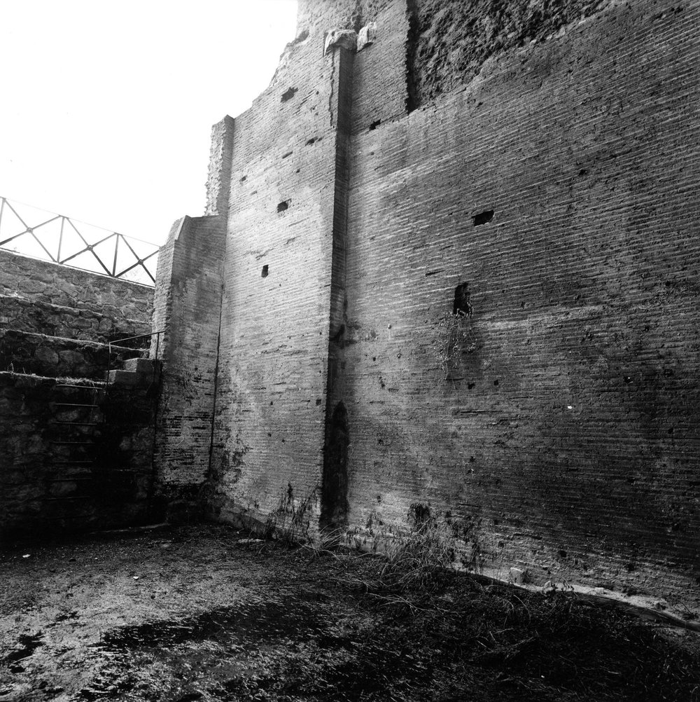 VC-SP035-asf009031.jpg