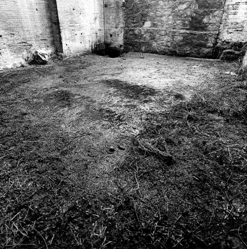VC-SP039-asf009035.jpg
