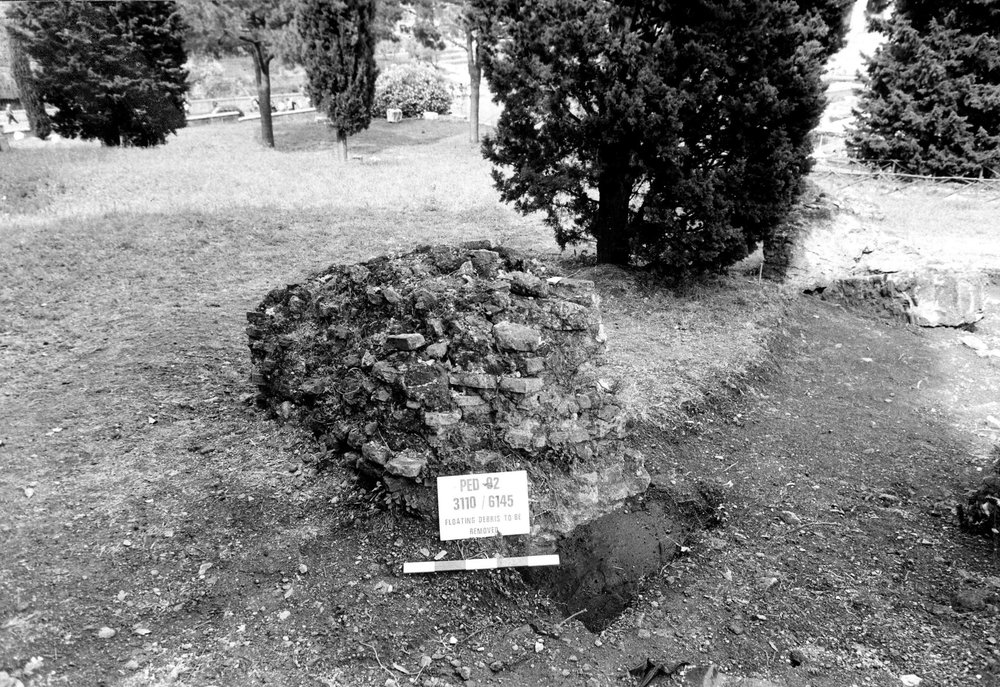 VSG018-asf009102.jpg