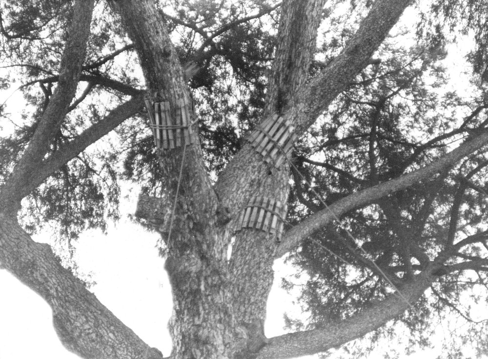 VSG013-asf009092.jpg