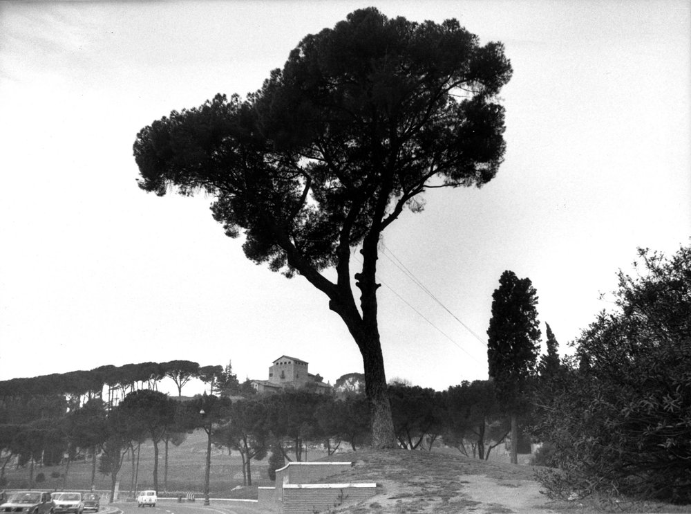 VSG011-asf009090.jpg