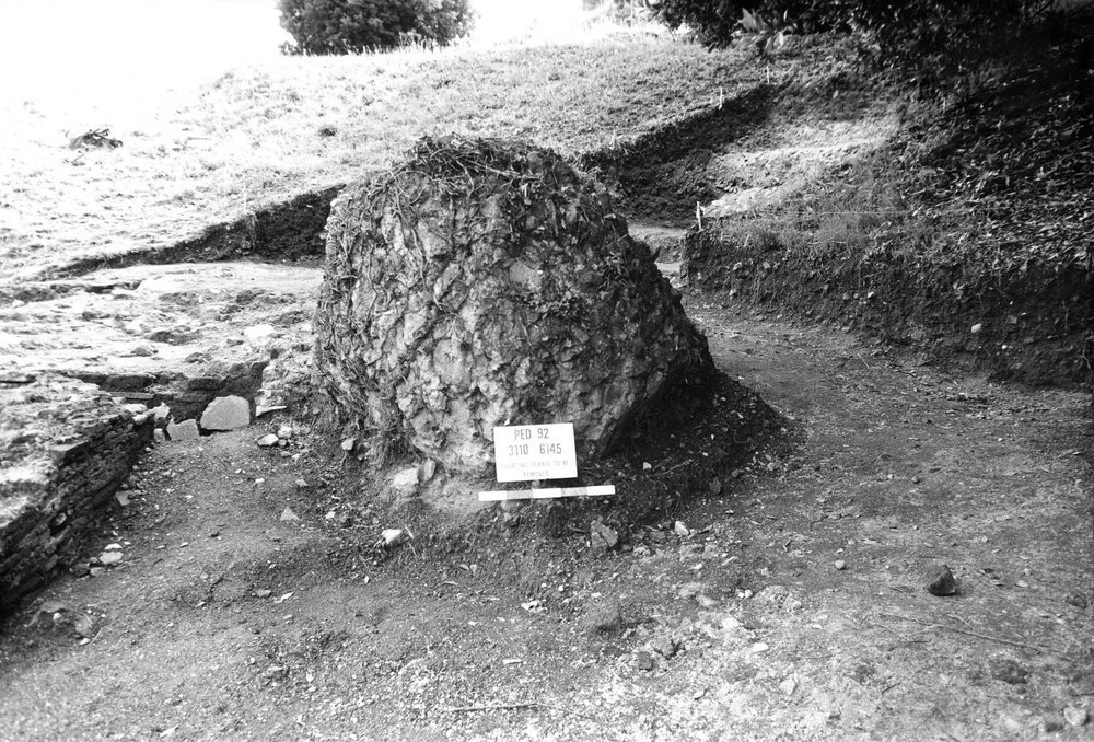 VSG018-asf009101.jpg