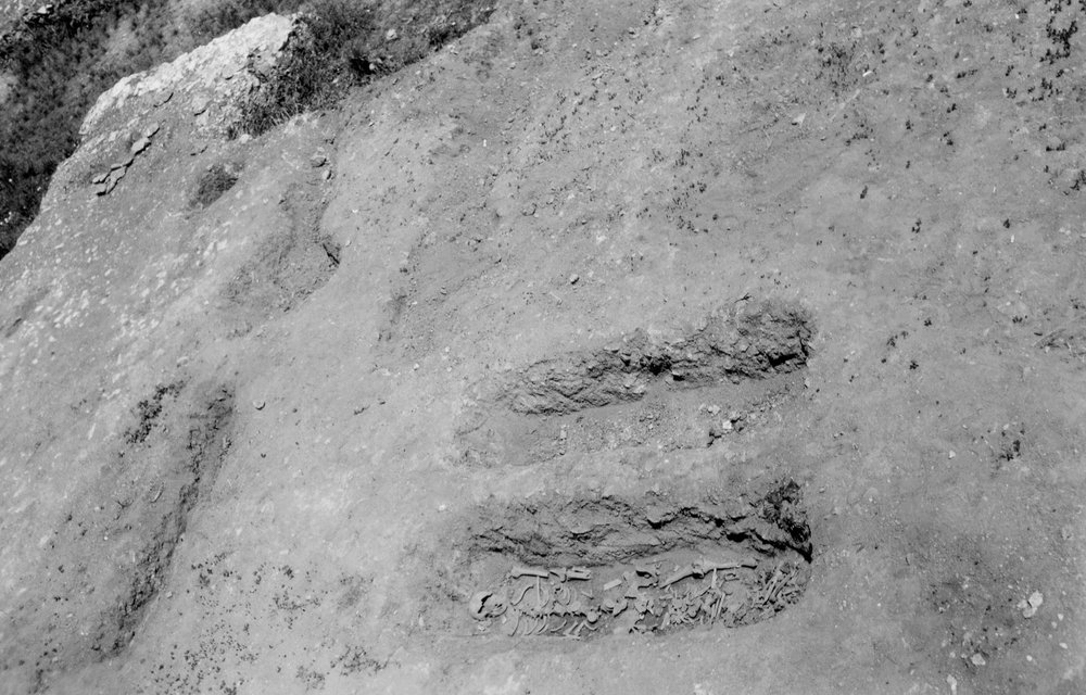 VB-PT 001-asf009993.JPG