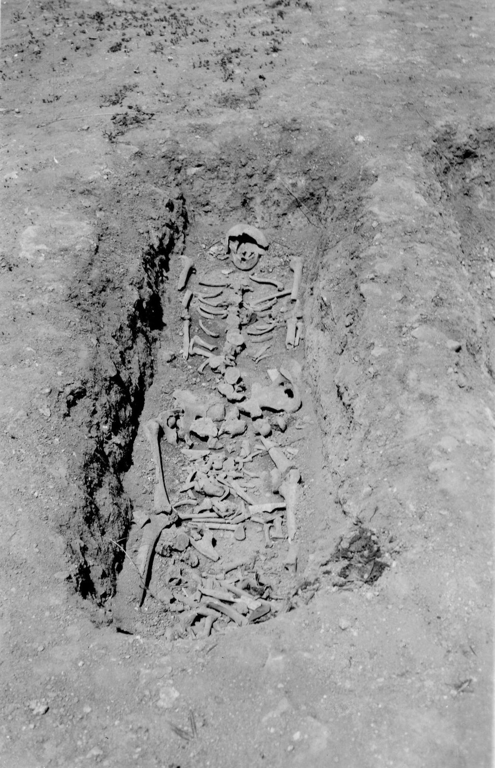 VB-PT 001-asf009991.JPG