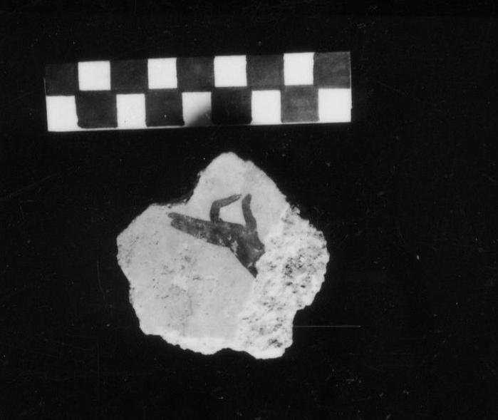 VB-SM 016-asf010042.JPG